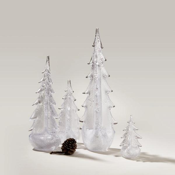 Silver Leaf Evergreen view 2