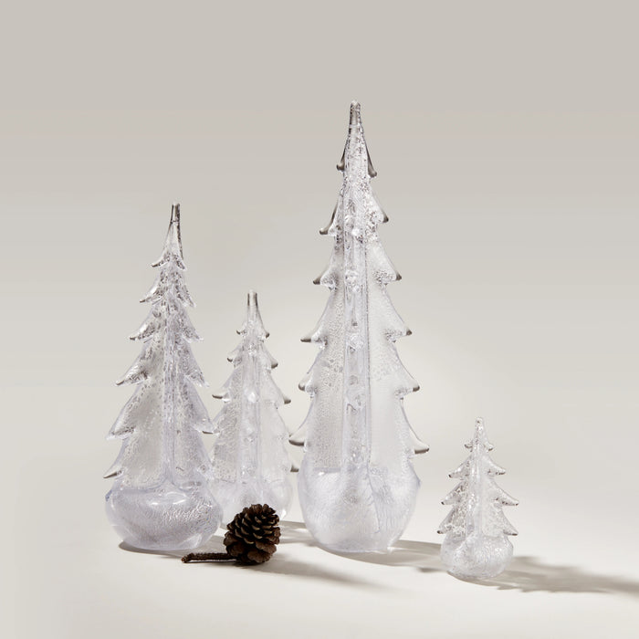 Silver Leaf Evergreen view 2