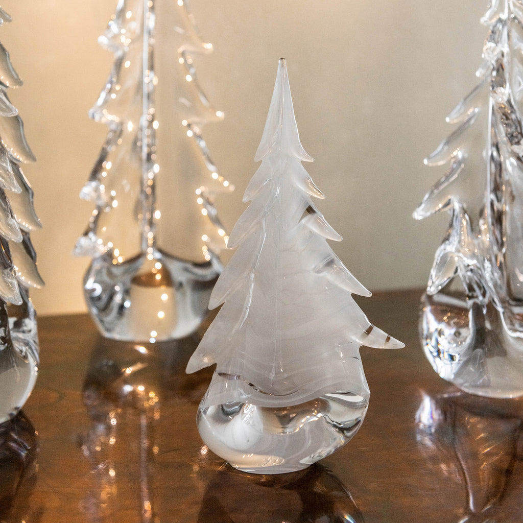 Snowdrift Evergreen in Gift Box view 7
