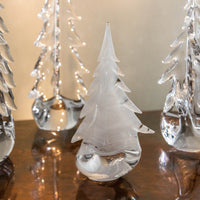 Snowdrift Evergreen in Gift Box view 7