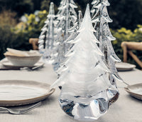Snowdrift Evergreen in Gift Box view 6