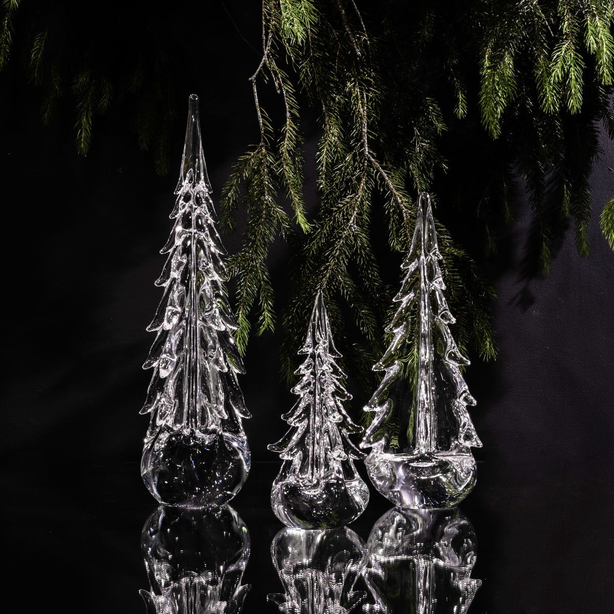 Three clear glass tree-shaped ornaments with evergreen branches suspended above against a black background.