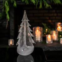 Vela Evergreen in Gift Box view 5