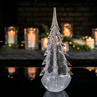 Vela Evergreen in Gift Box view 6