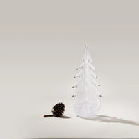 Vela Evergreen in Gift Box view 3