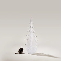 Vela Evergreen in Gift Box view 4