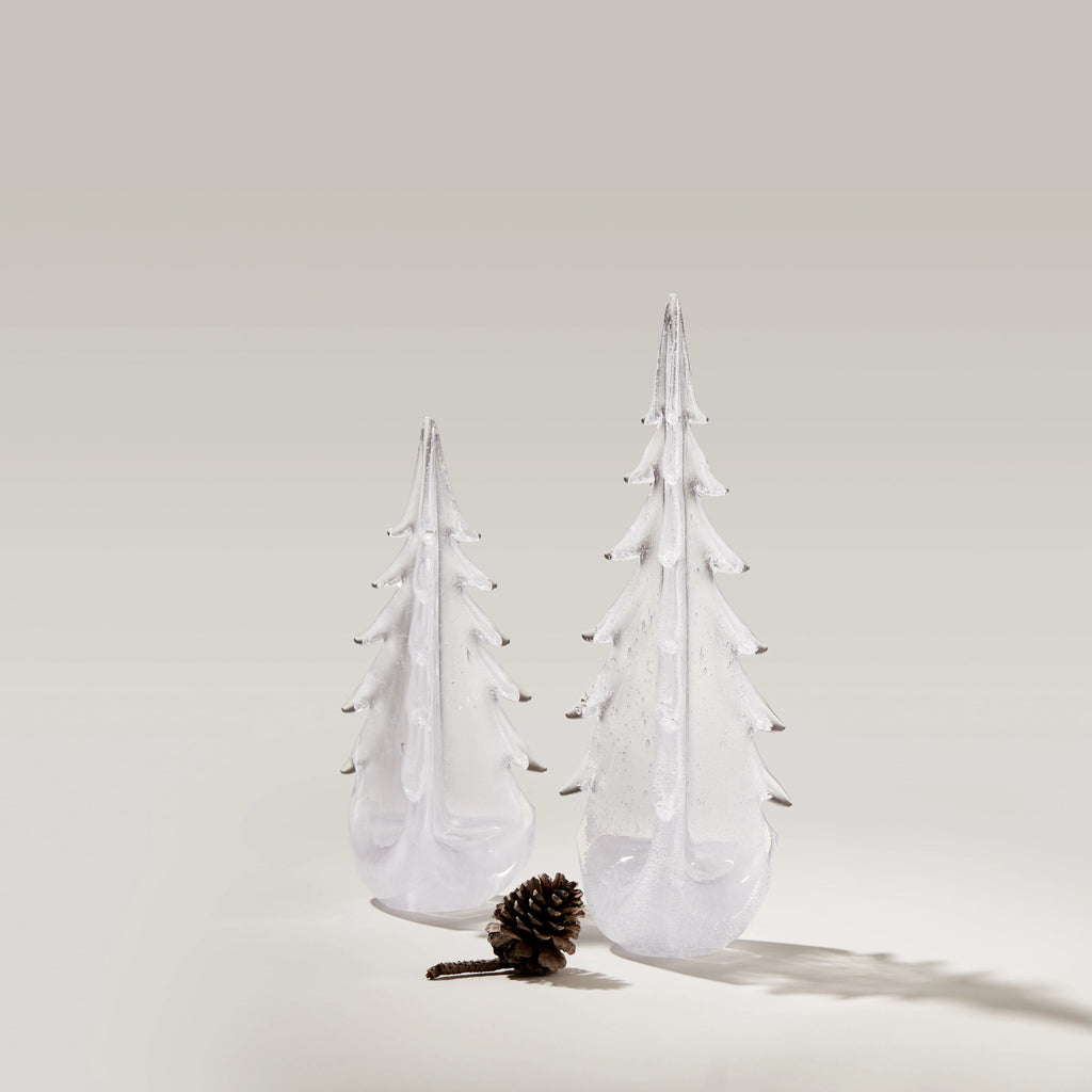 Vela Evergreen in Gift Box view 2