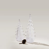 Vela Evergreen in Gift Box view 2