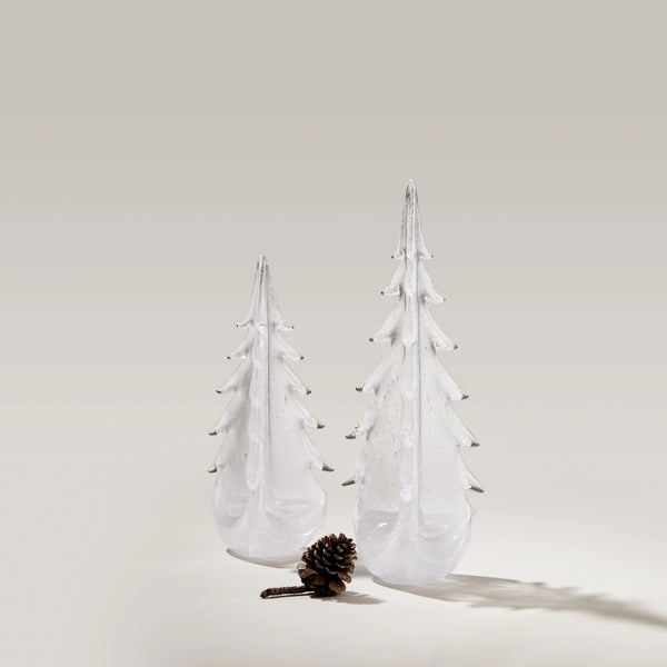 Vela Evergreen in Gift Box view 2