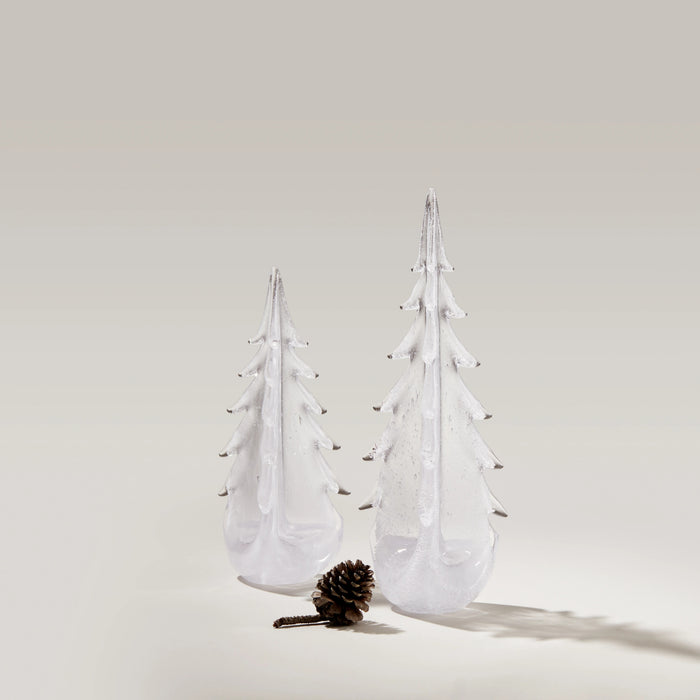 Vela Evergreen in Gift Box view 2