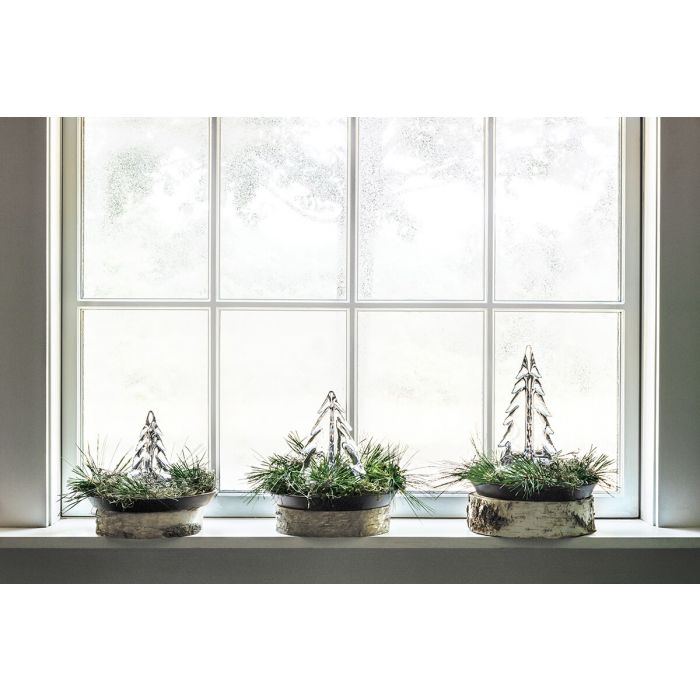Vermont Evergreen Trio view 5